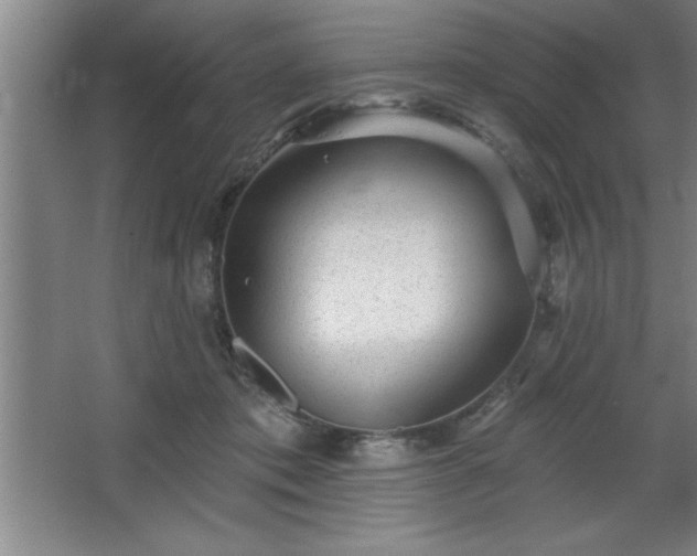 X0000068720413200605010938