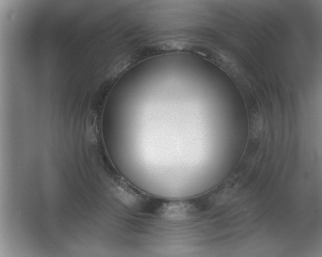 X0000068720414200605010938