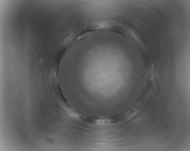 X0000068720415200605010938