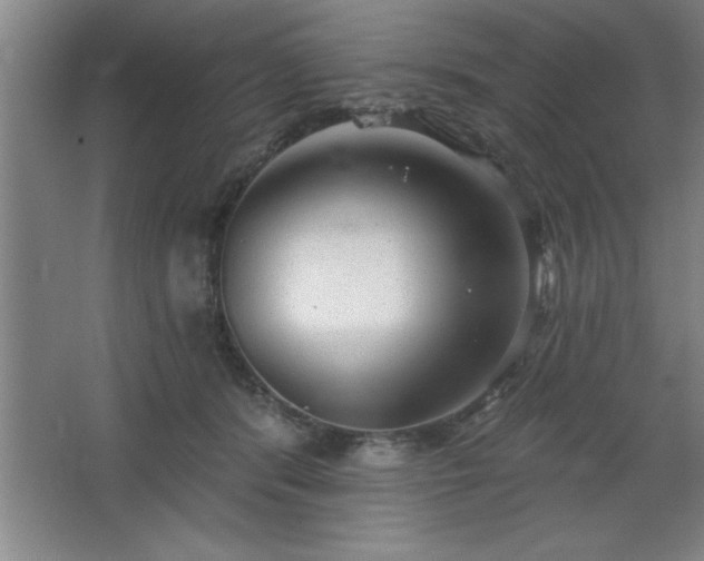 X0000068720416200605010938