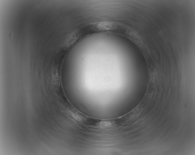 X0000068720418200605010938