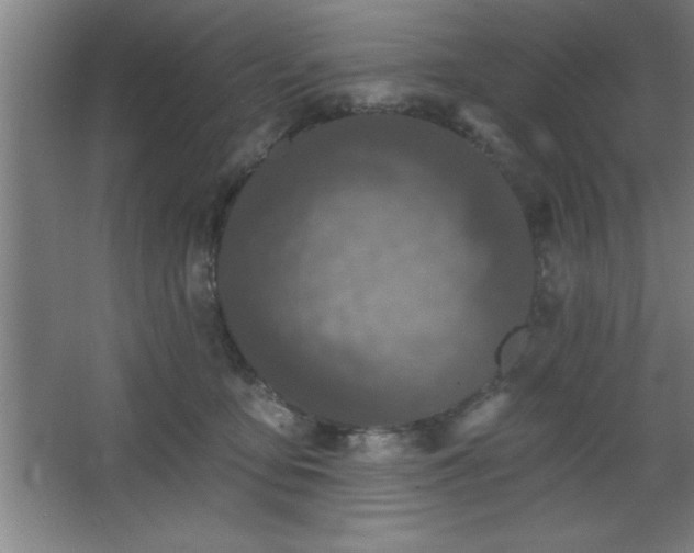 X0000068720419200605010938