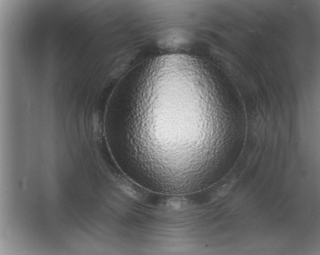 X0000068720420200605010938