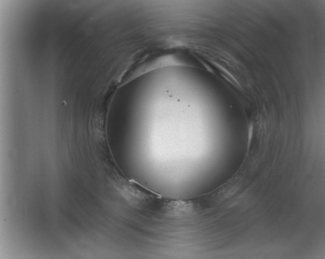 X0000068720421200605010938