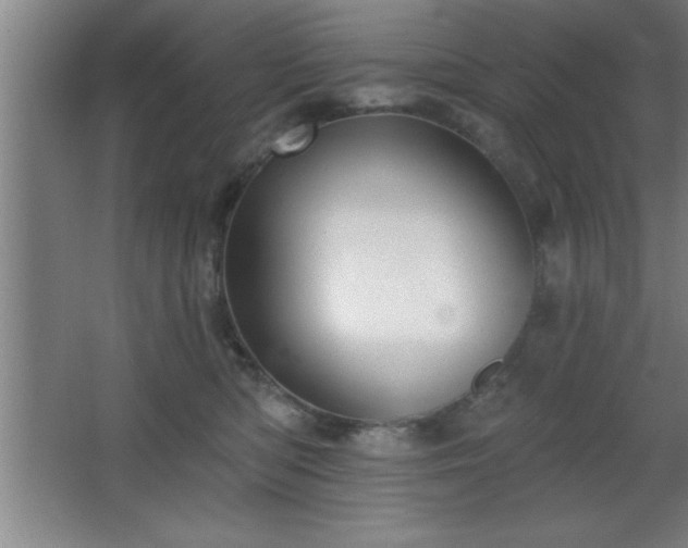 X0000068720422200605010938