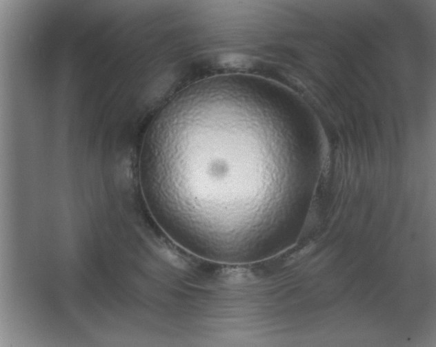 X0000068720424200605010938