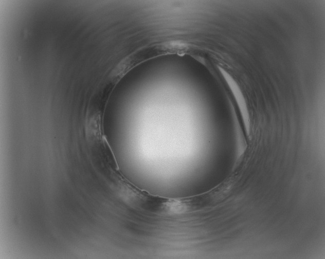 X0000068720425200605010938