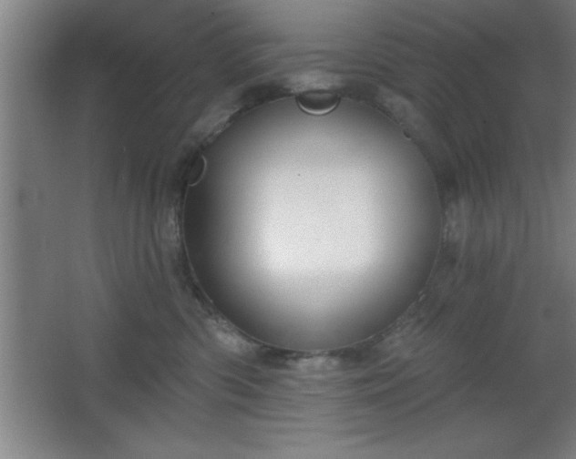 X0000068720426200605010938