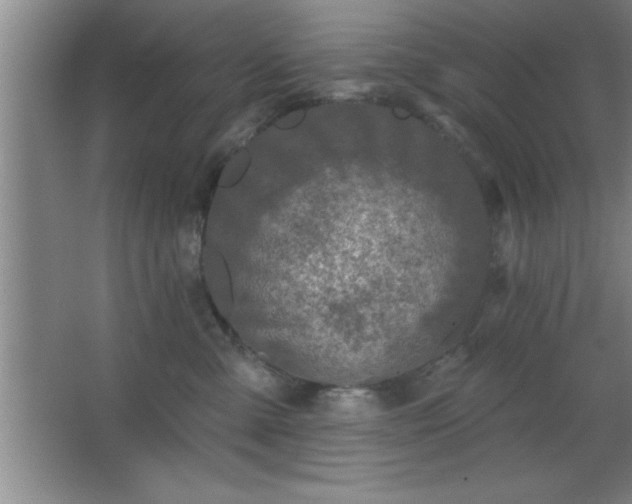 X0000068720427200605010938