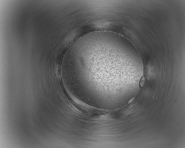 X0000068720428200605010938