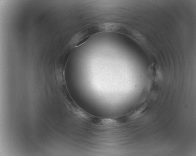 X0000068720429200605010938