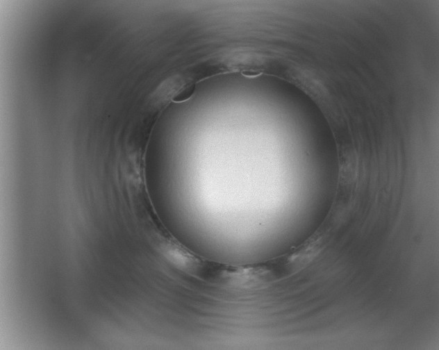 X0000068720430200605010938