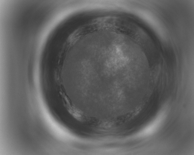 X0000068720431200605010938