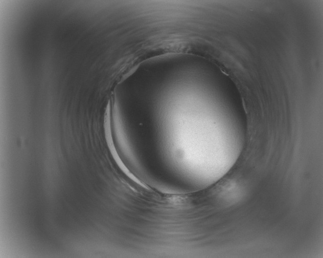 X0000068720432200605010938