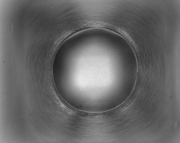 X0000068720433200605010937