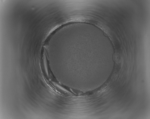 X0000068720434200605010937