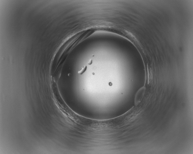 X0000068720435200605010937