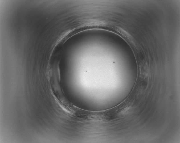 X0000068720436200605010937