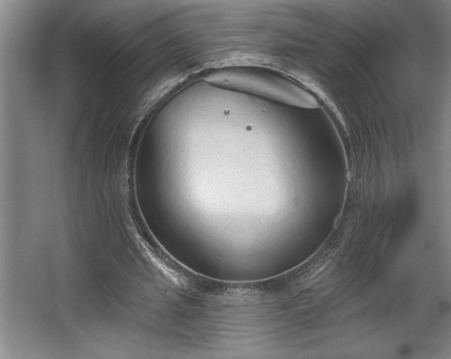 X0000068720437200605010937