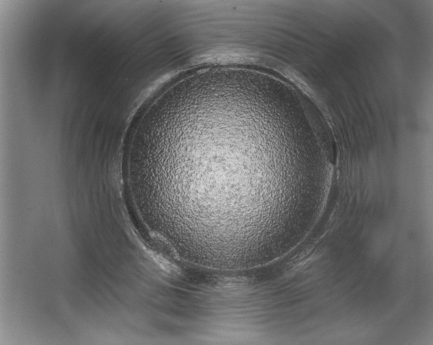 X0000068720438200605010937