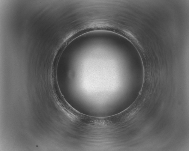 X0000068720439200605010937