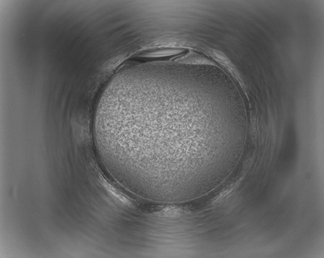 X0000068720441200605010937