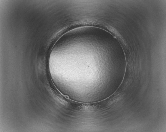 X0000068720442200605010937