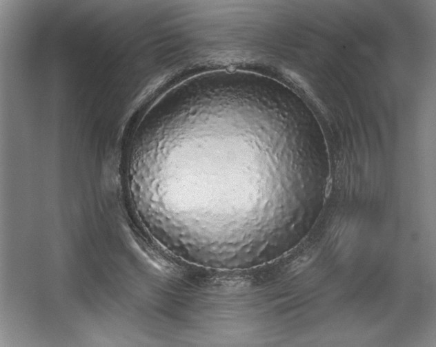 X0000068720443200605010937