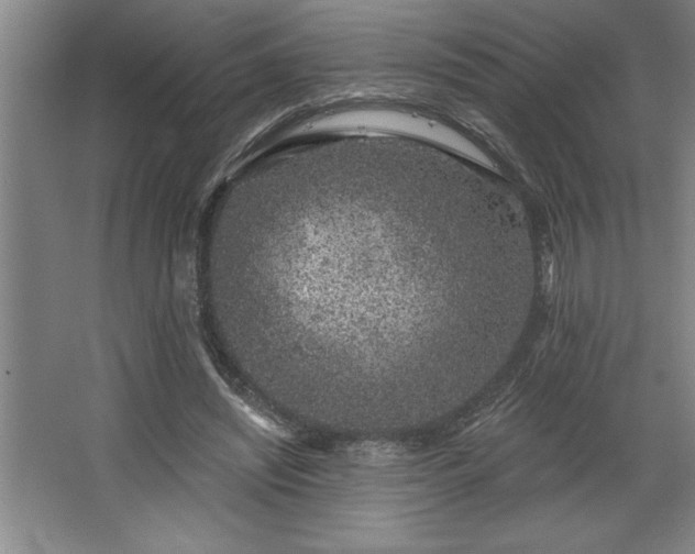 X0000068720444200605010937