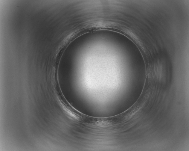 X0000068720445200605010937