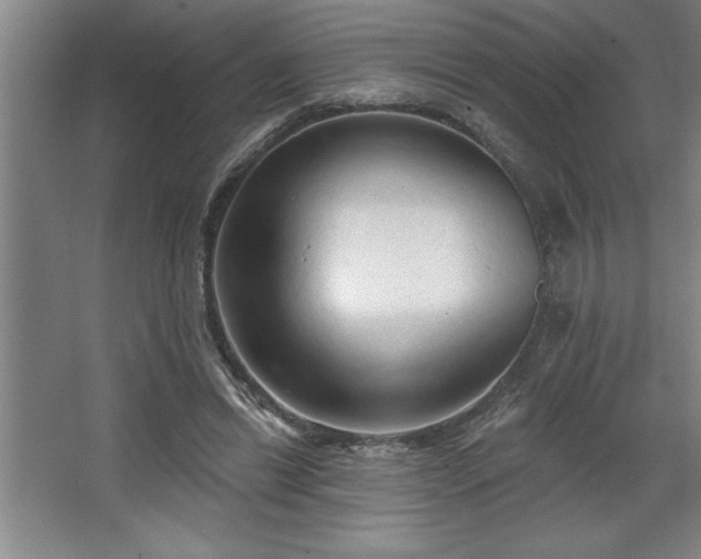 X0000068720446200605010938