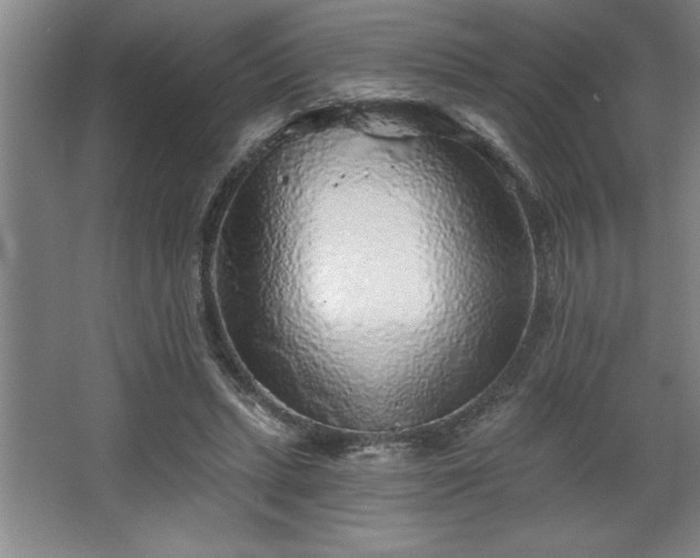 X0000068720447200605010938