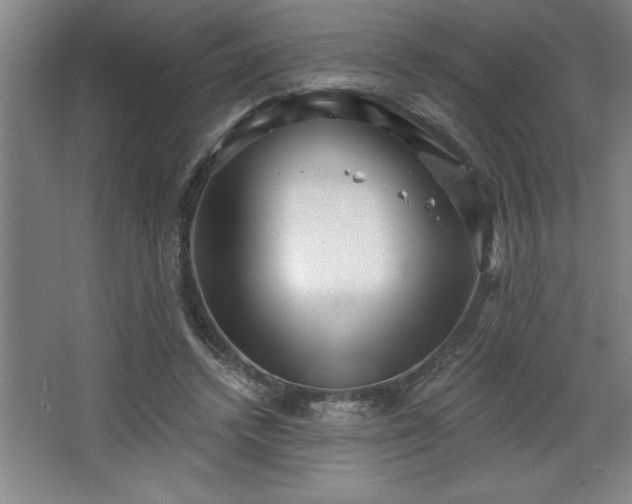 X0000068720448200605010938