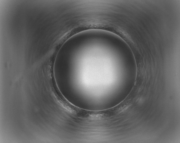 X0000068720450200605010938