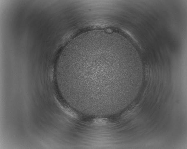 X0000068720451200605010938