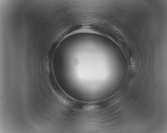 X0000068720452200605010938