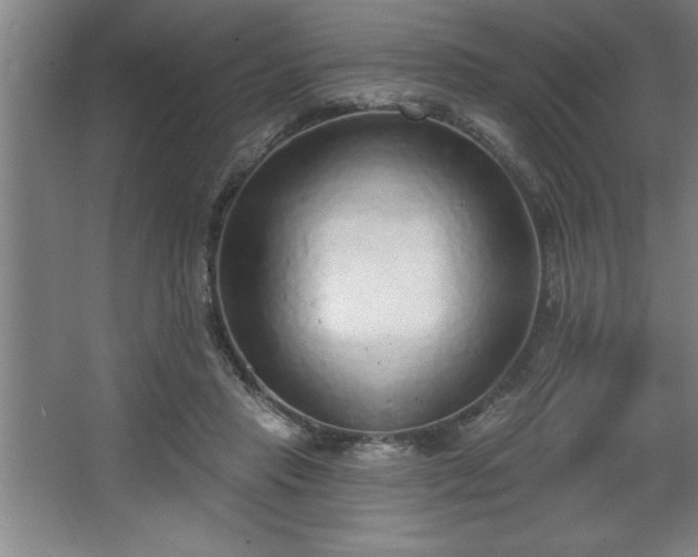 X0000068720453200605010938