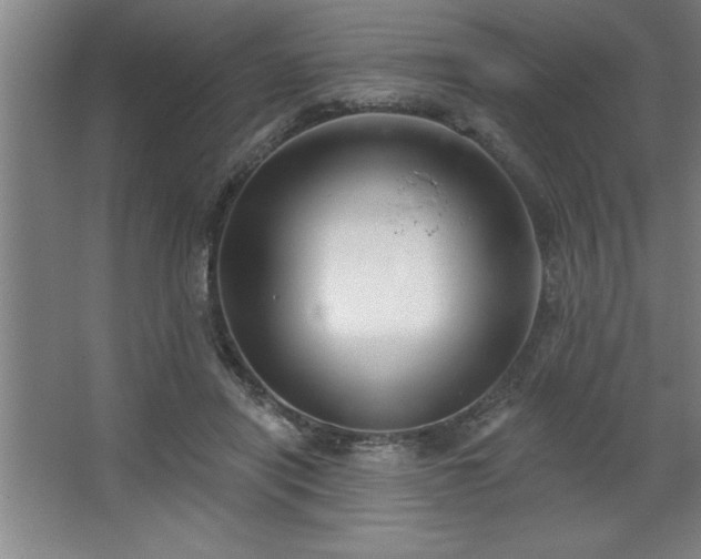 X0000068720454200605010938