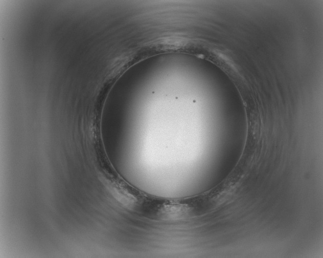 X0000068720455200605010938