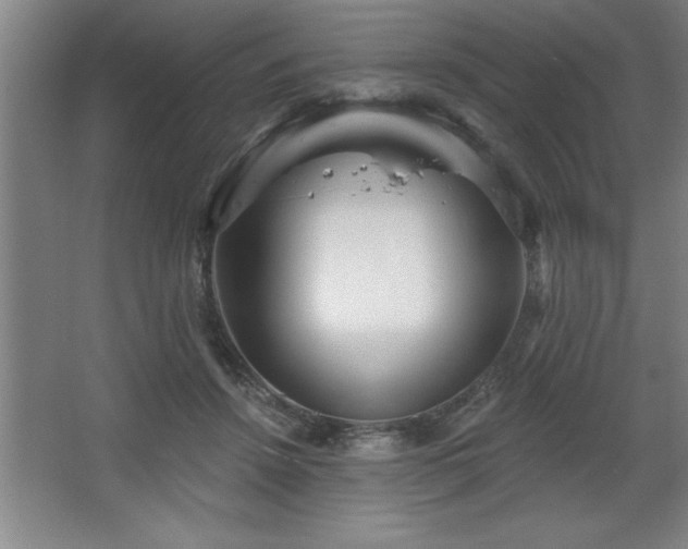 X0000068720456200605010938