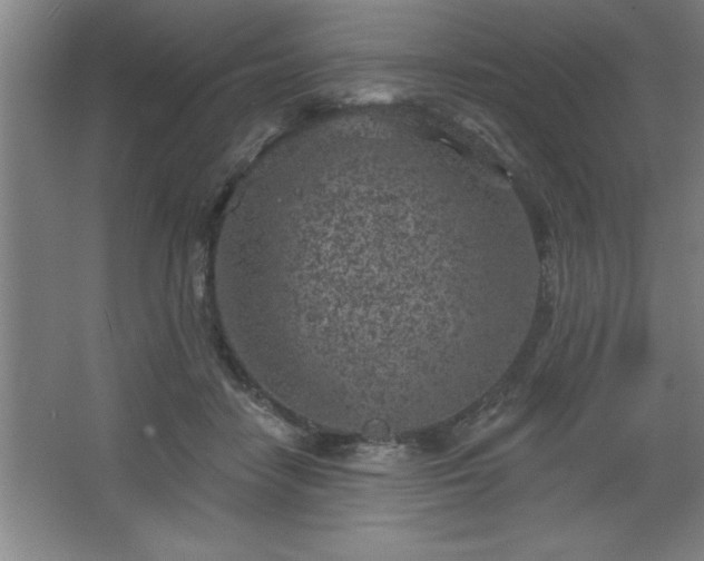 X0000068720458200605010938