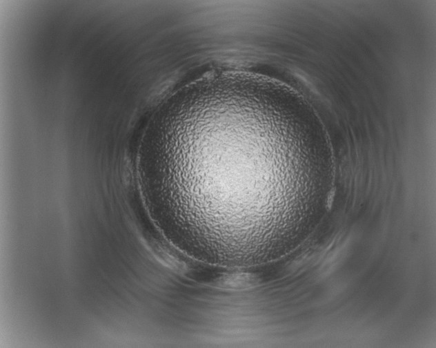 X0000068720459200605010938