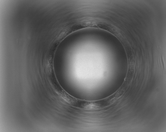 X0000068720460200605010938