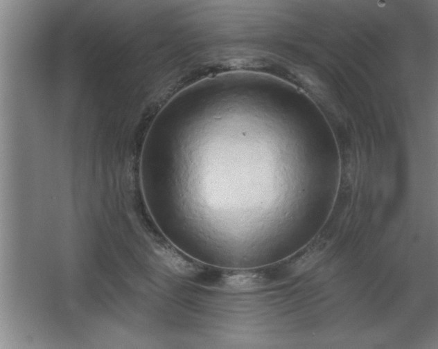 X0000068720461200605010938