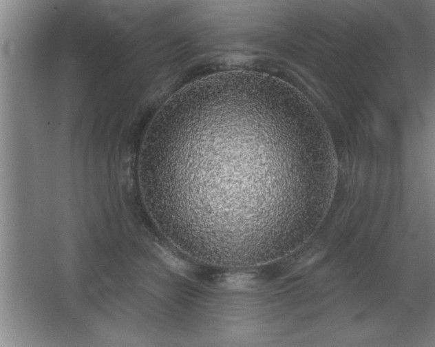 X0000068720462200605010938