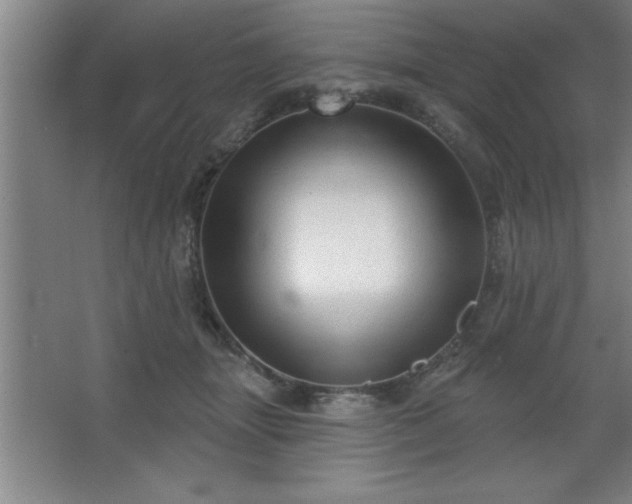 X0000068720463200605010938