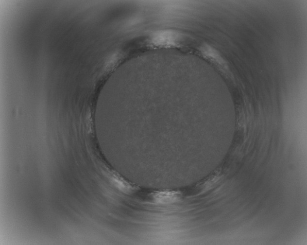 X0000068720465200605010938