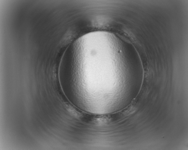 X0000068720466200605010938