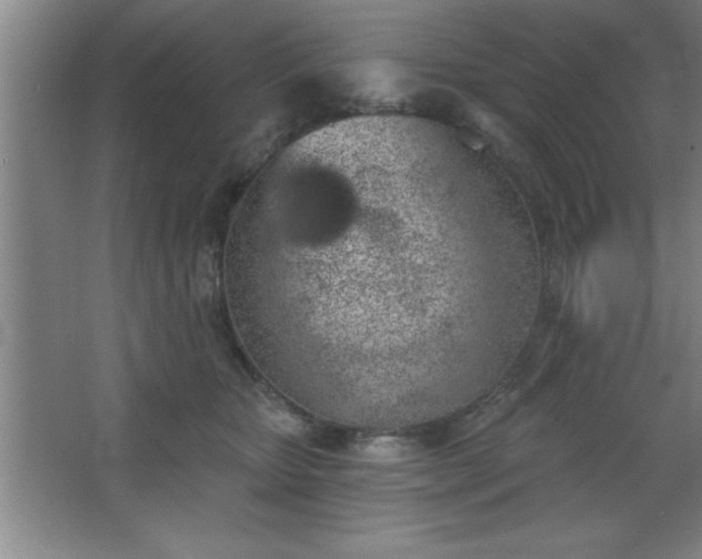 X0000068720467200605010938