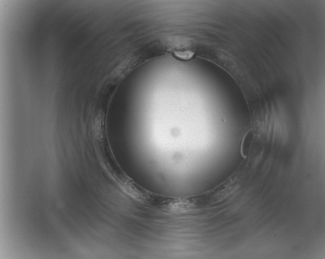 X0000068720468200605010938